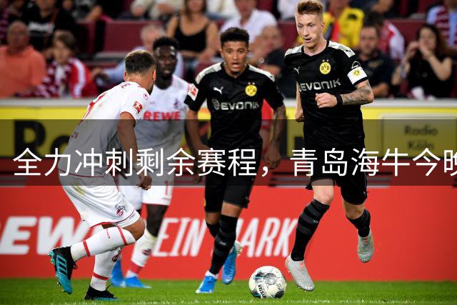 全力冲刺剩余赛程，青岛海牛今晚主场迎战上海申花