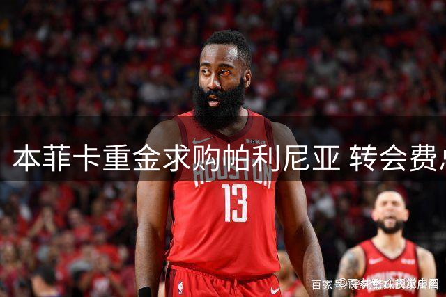 本菲卡重金求购帕利尼亚 转会费总额或超4000万欧元