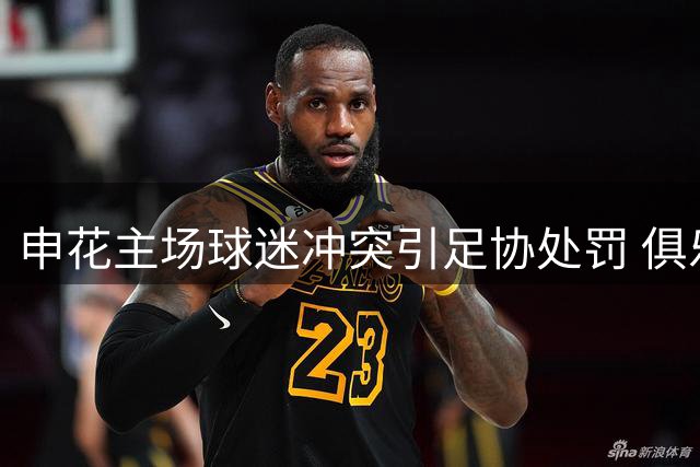 申花主场球迷冲突引足协处罚 俱乐部表态接受批评