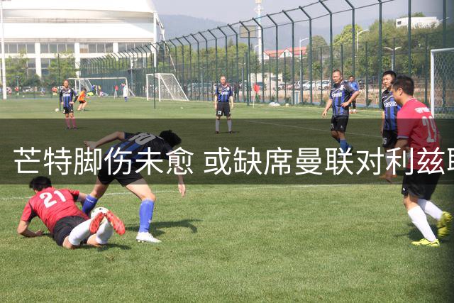 芒特脚伤未愈 或缺席曼联对利兹联季前赛